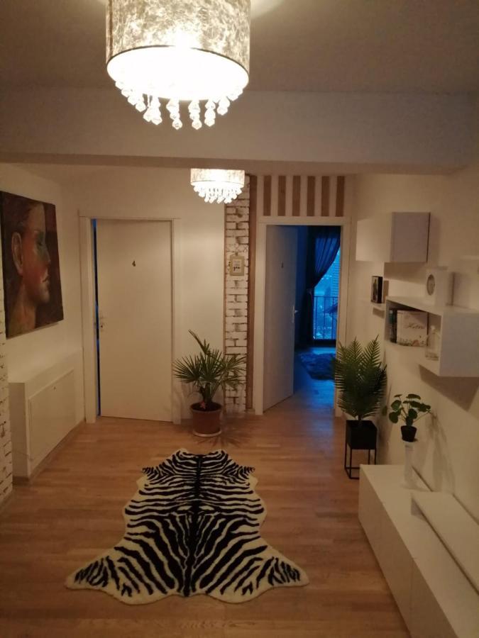 Pensiunea Timis Borşa Exterior foto