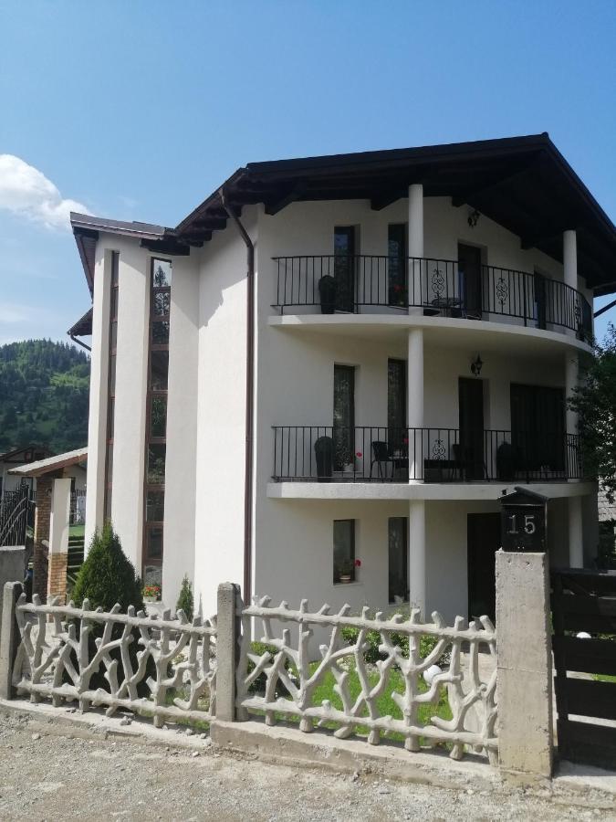 Pensiunea Timis Borşa Exterior foto