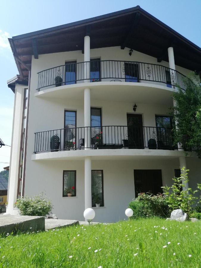 Pensiunea Timis Borşa Exterior foto