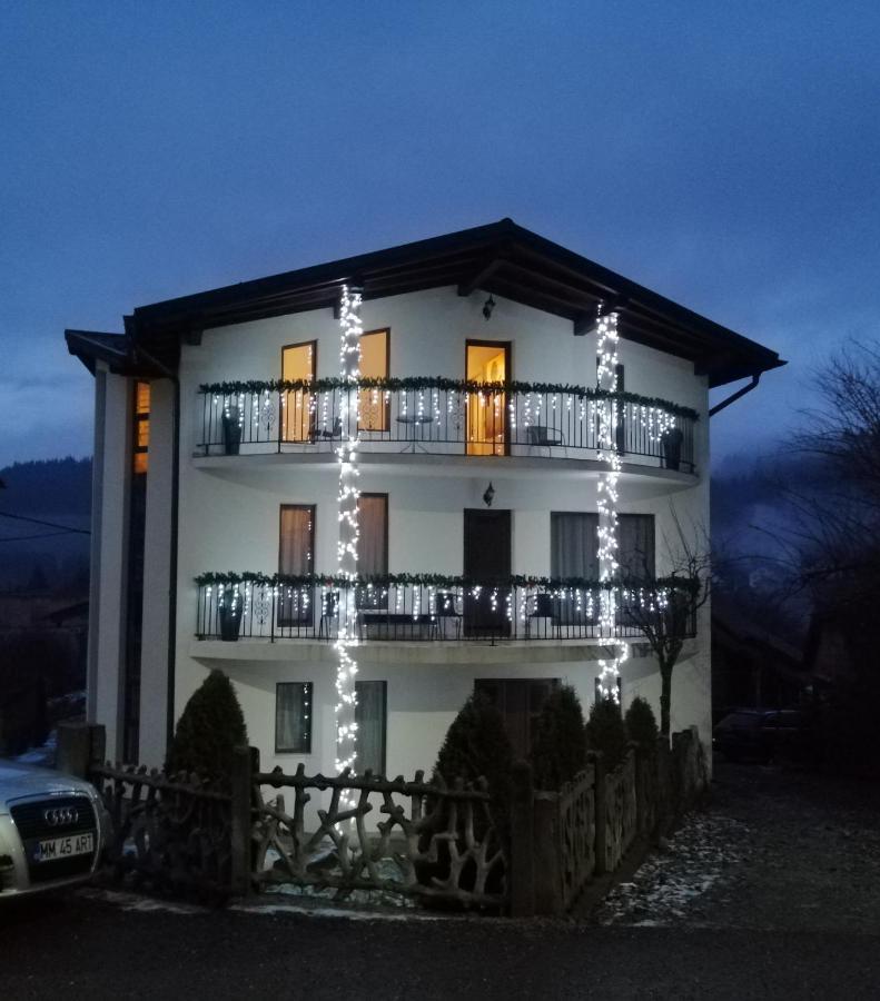 Pensiunea Timis Borşa Exterior foto