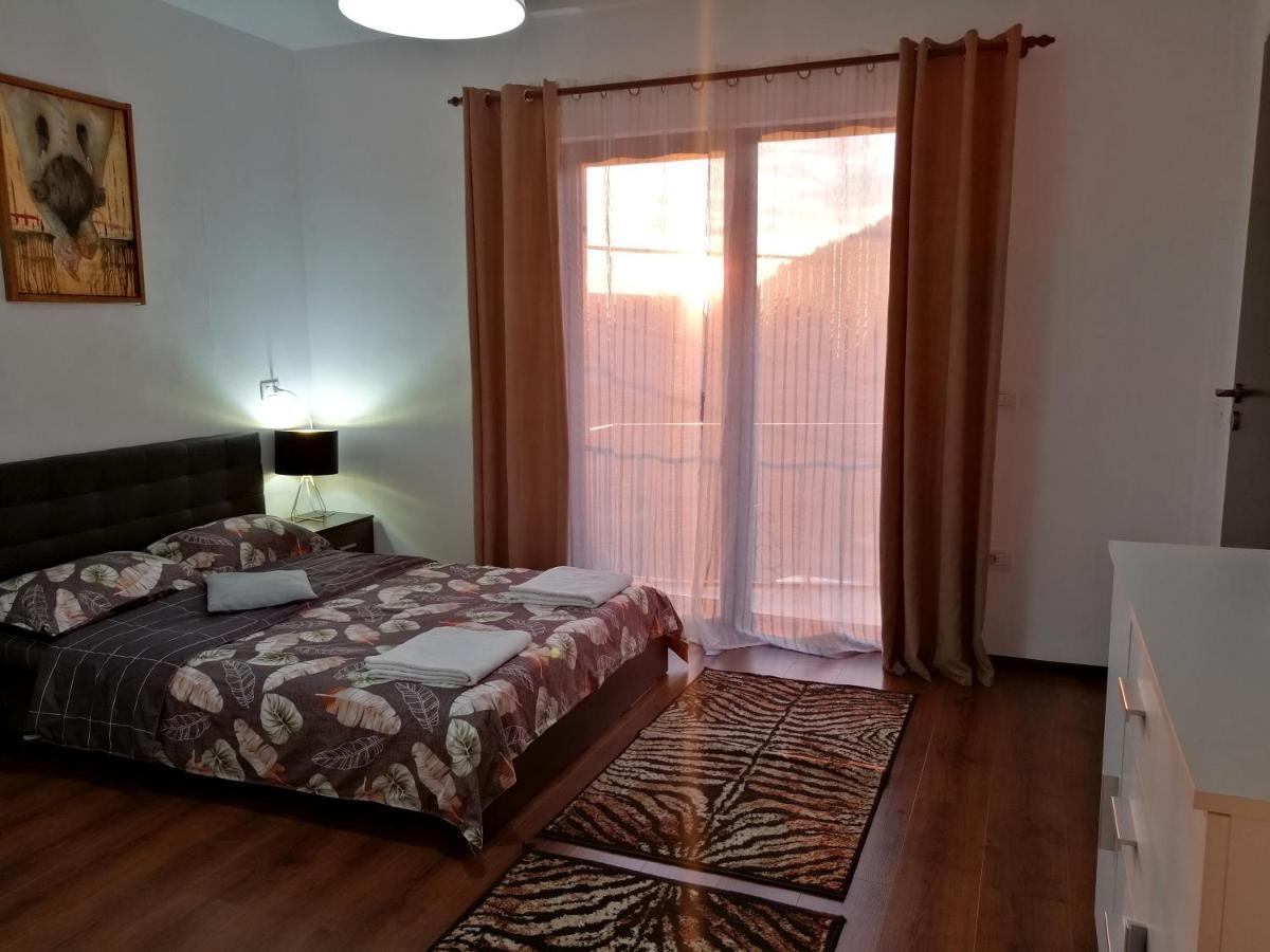 Pensiunea Timis Borşa Exterior foto