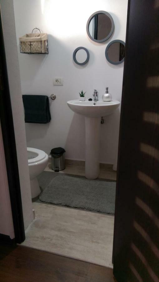 Pensiunea Timis Borşa Exterior foto
